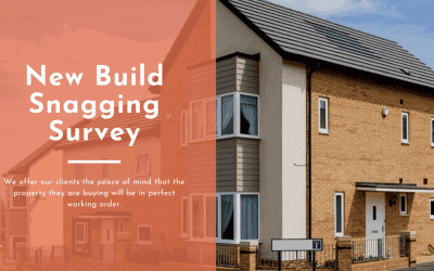 New Build Snagging Survey